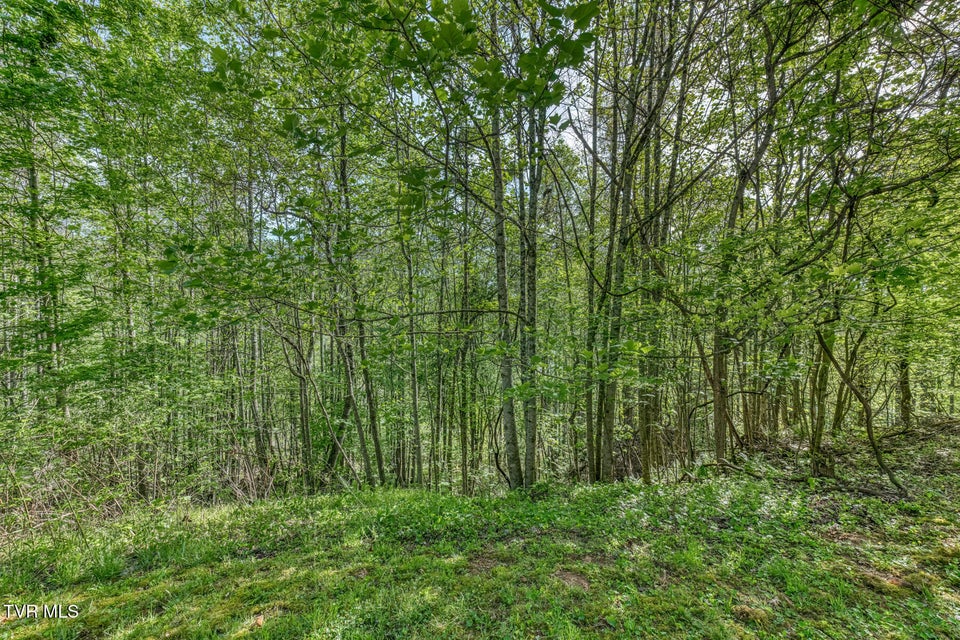 Photo #7: 514 Piney Grove Road