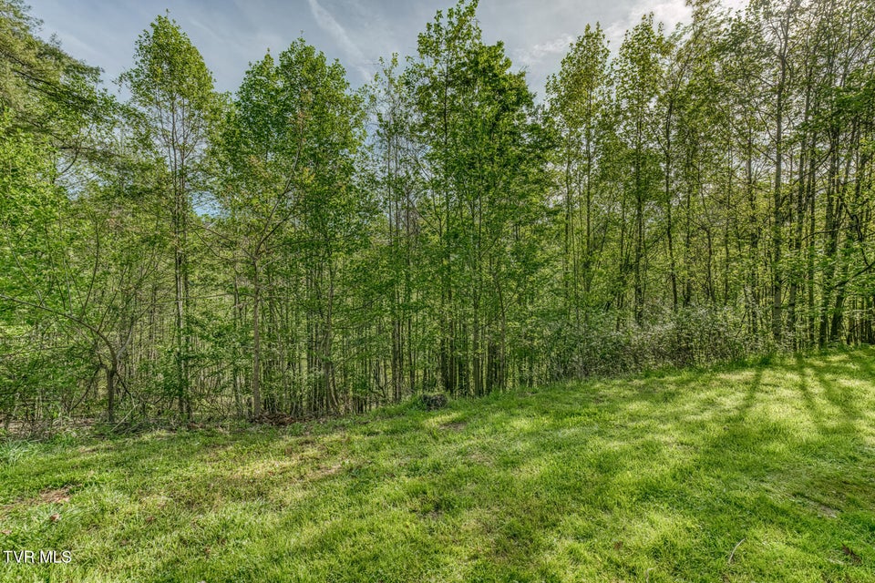 Photo #6: 514 Piney Grove Road