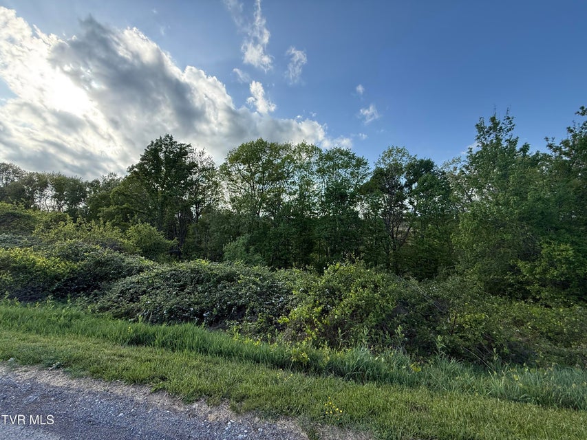 Photo #4: 000 Gibson Road