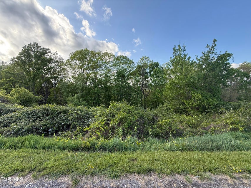 Photo #5: 000 Gibson Road