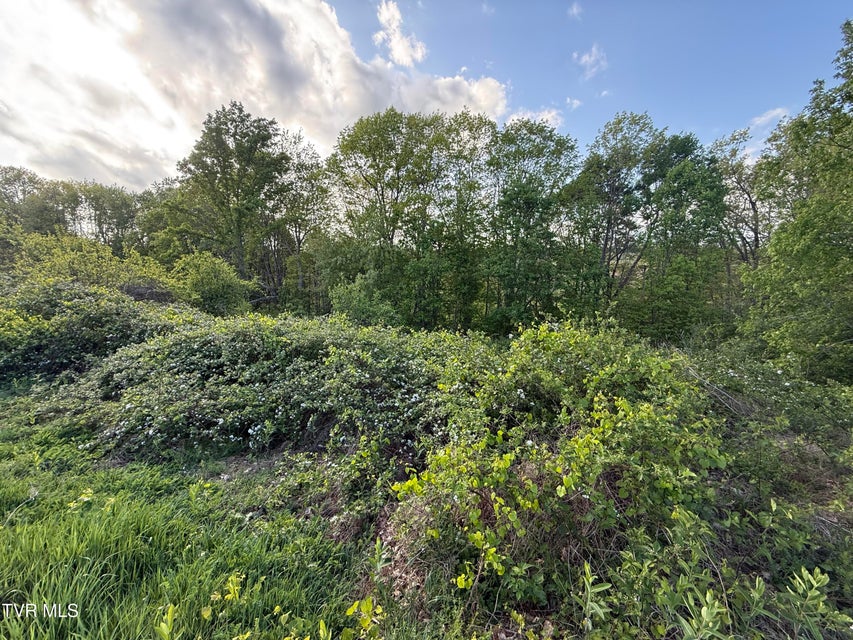 Photo #6: 000 Gibson Road