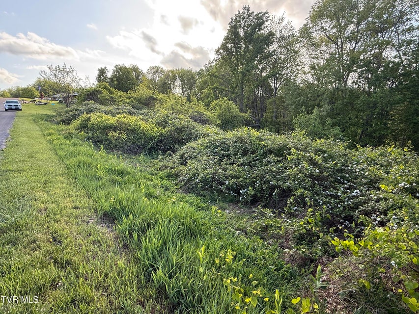 Photo #7: 000 Gibson Road