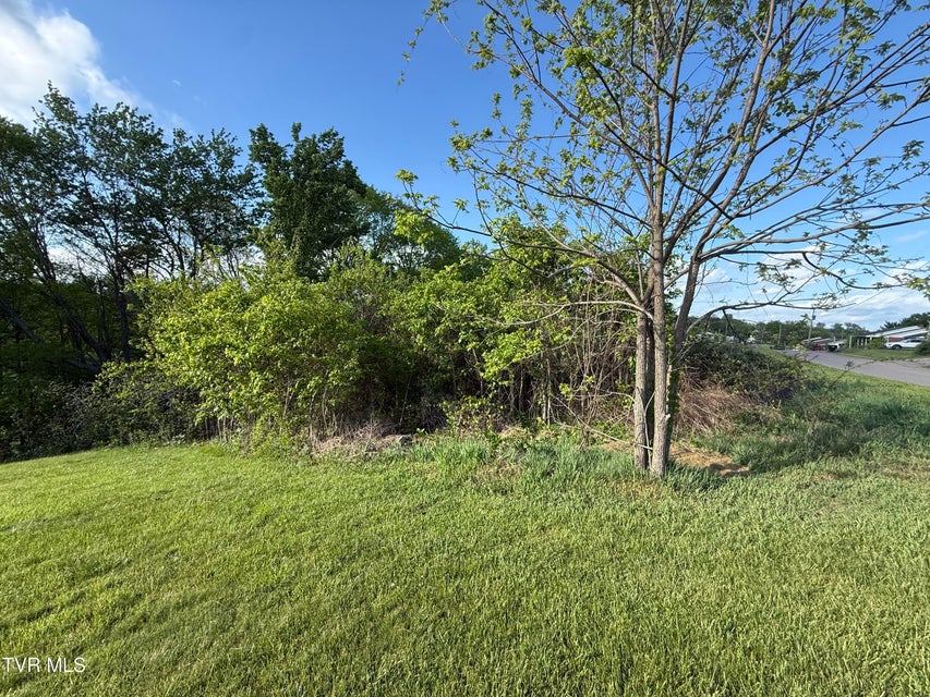 Photo #9: 000 Gibson Road