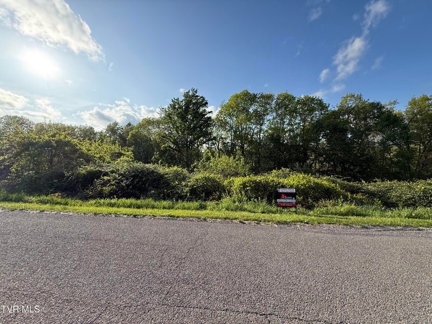 Photo #10: 000 Gibson Road