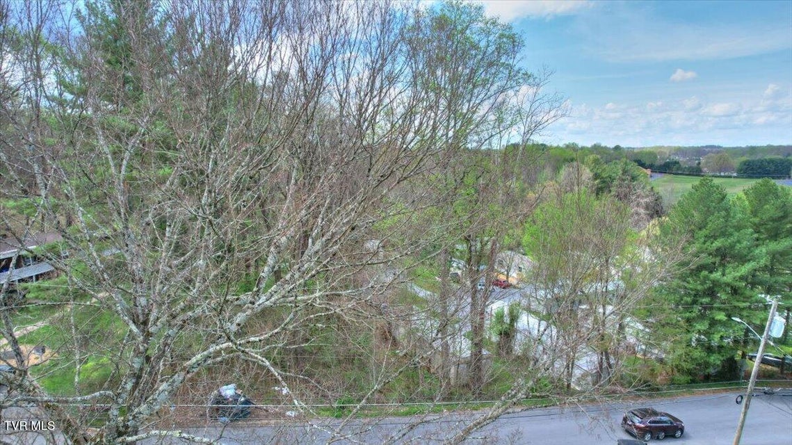 Photo #29: 1419 Colony Park Drive