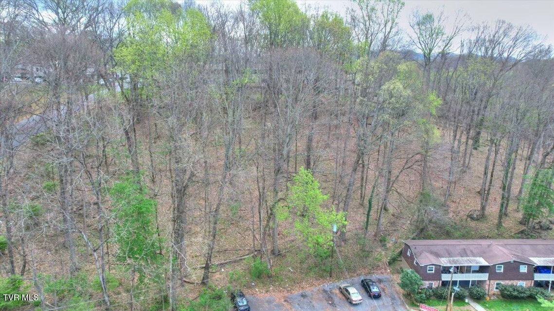 Photo #42: 1419 Colony Park Drive