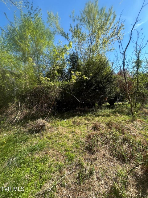 Photo #4: 807 Cleghorn Valley Road