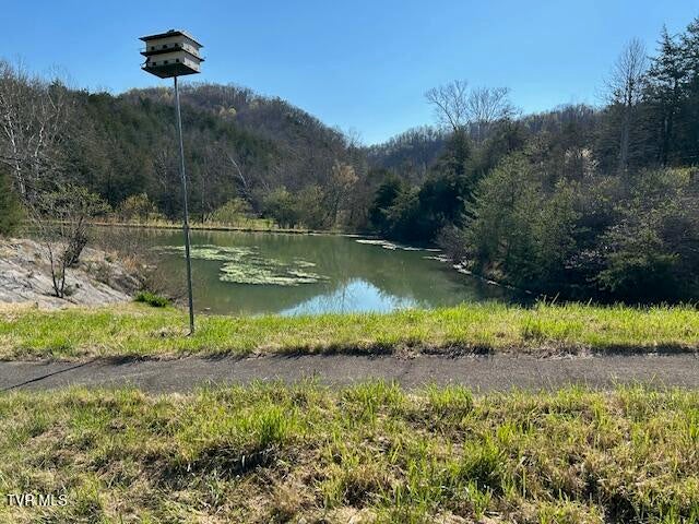 Photo #4: 742 Black Sheep Hollow Road