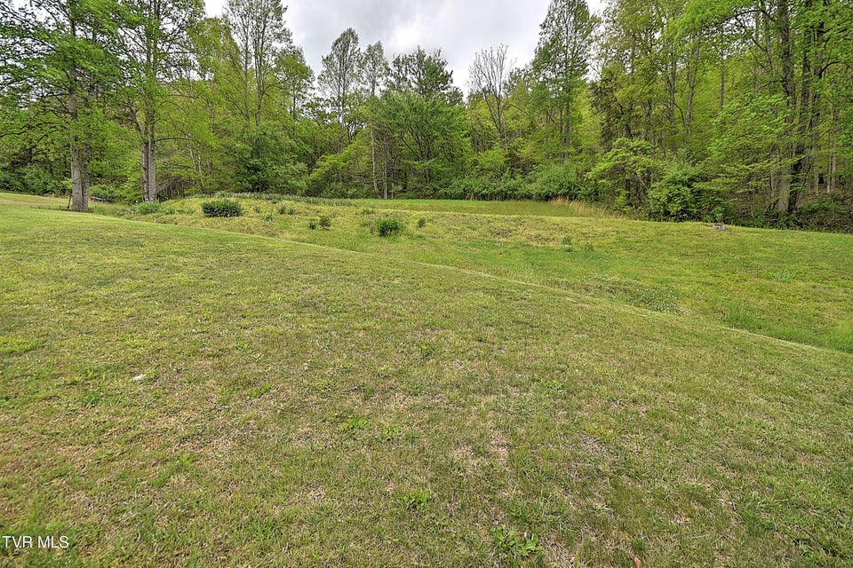 Photo #41: 903 Flatwoods Road