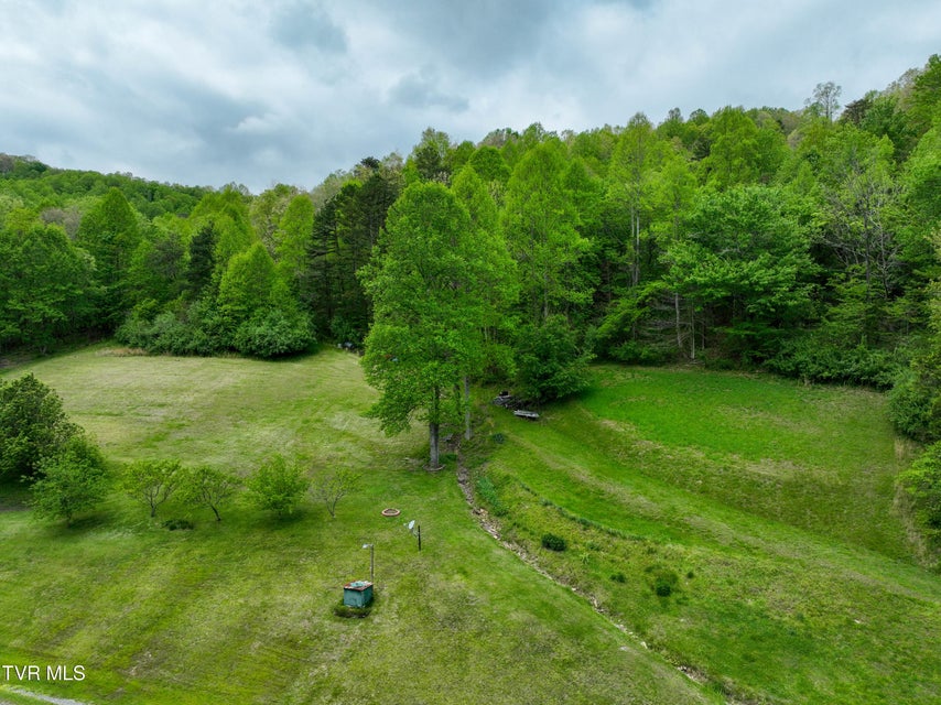 Photo #48: 903 Flatwoods Road