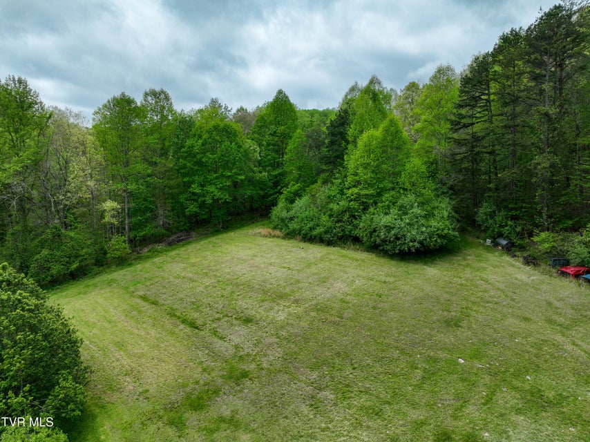 Photo #50: 903 Flatwoods Road