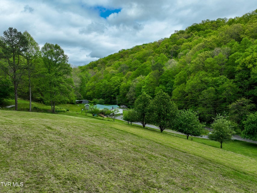 Photo #51: 903 Flatwoods Road