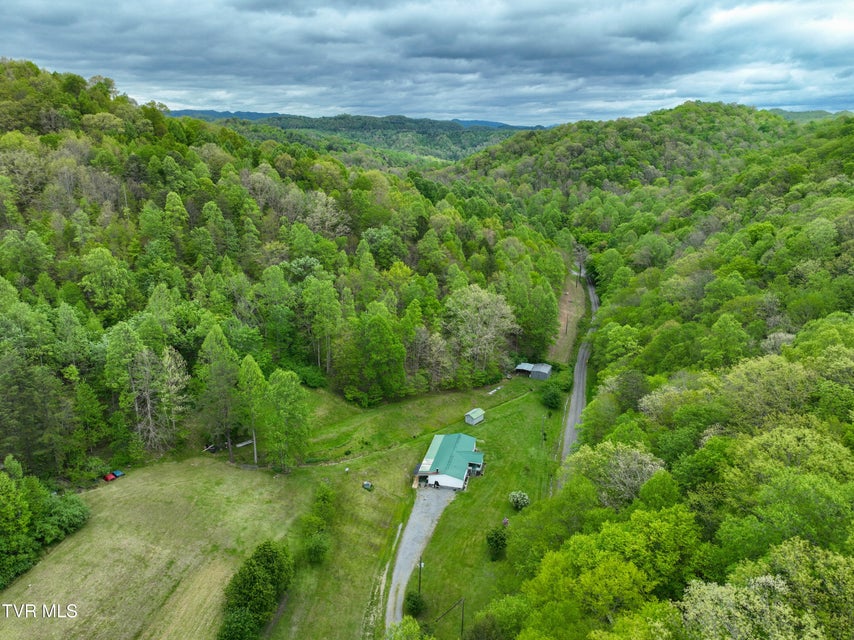 Photo #54: 903 Flatwoods Road