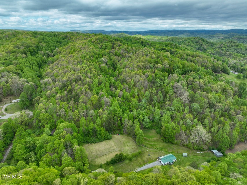 Photo #55: 903 Flatwoods Road