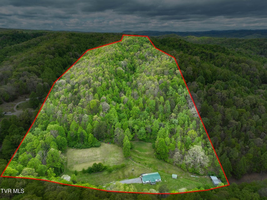 Photo #56: 903 Flatwoods Road