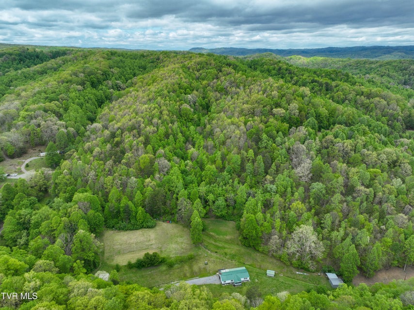 Photo #57: 903 Flatwoods Road