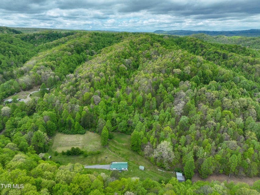 Photo #58: 903 Flatwoods Road