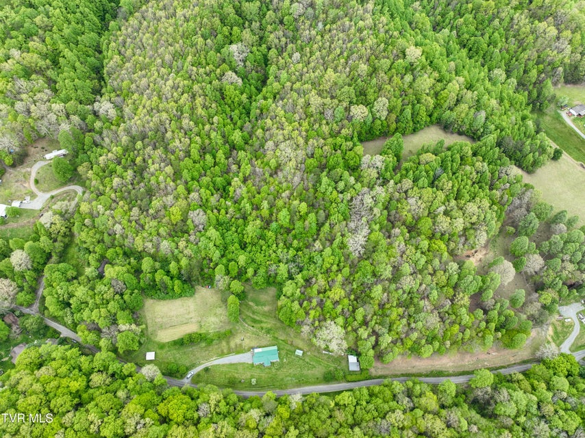 Photo #59: 903 Flatwoods Road