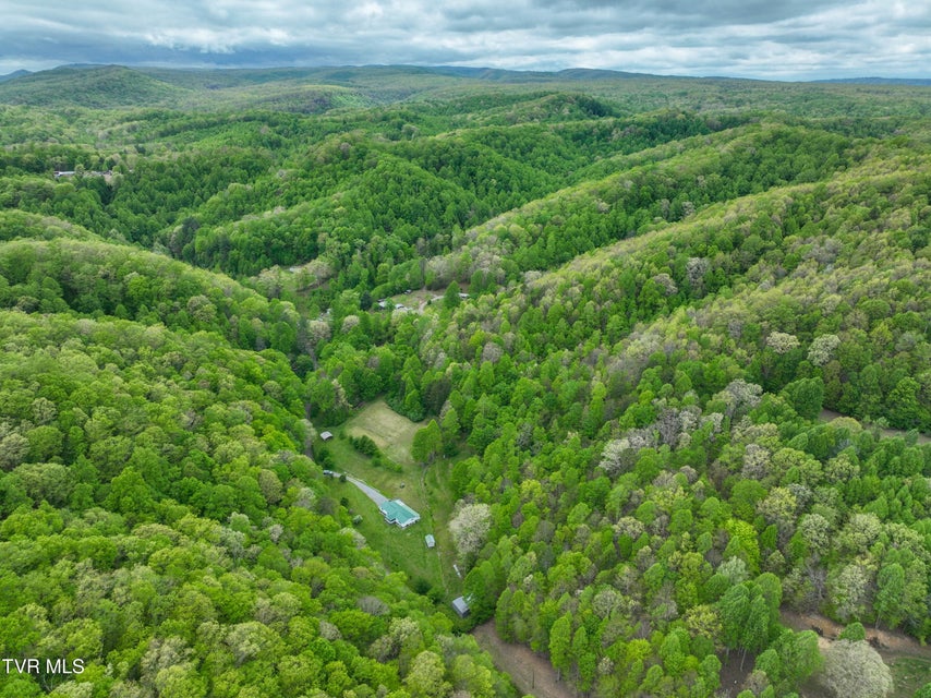 Photo #60: 903 Flatwoods Road