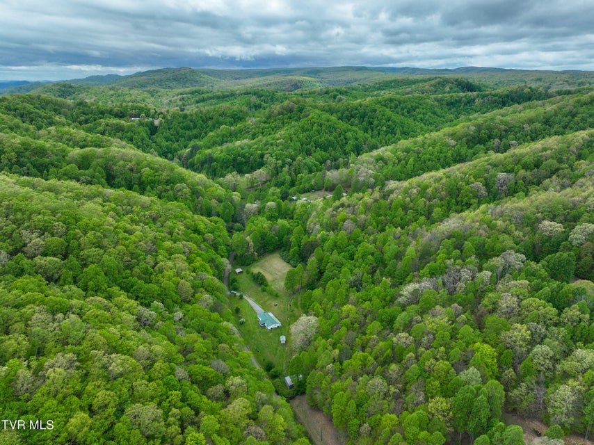 Photo #61: 903 Flatwoods Road