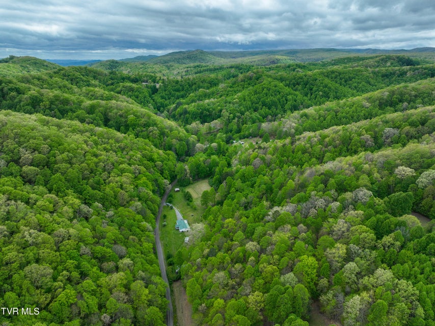 Photo #62: 903 Flatwoods Road