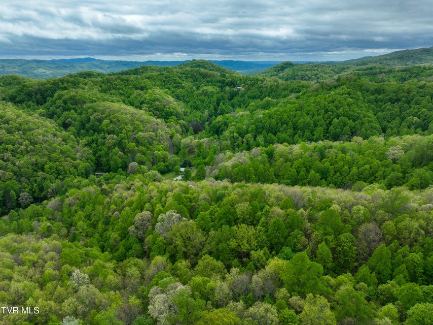 Photo #63: 903 Flatwoods Road