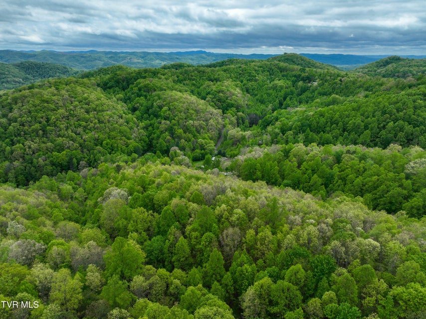 Photo #64: 903 Flatwoods Road