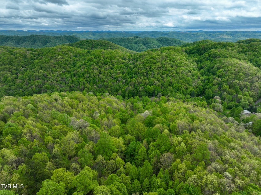 Photo #65: 903 Flatwoods Road