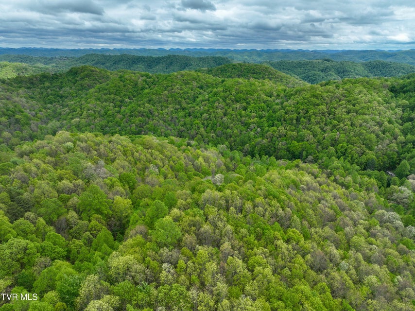 Photo #66: 903 Flatwoods Road