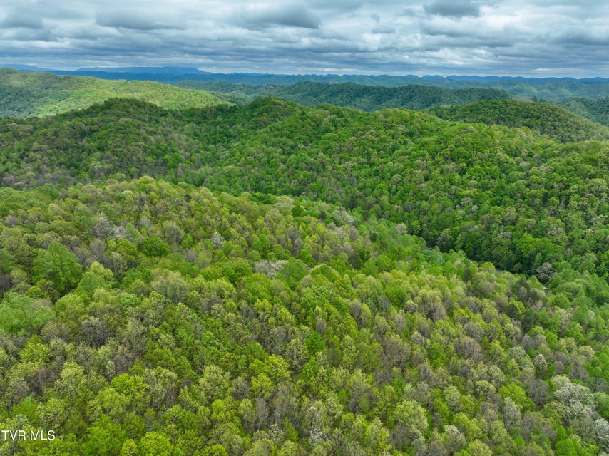 Photo #67: 903 Flatwoods Road