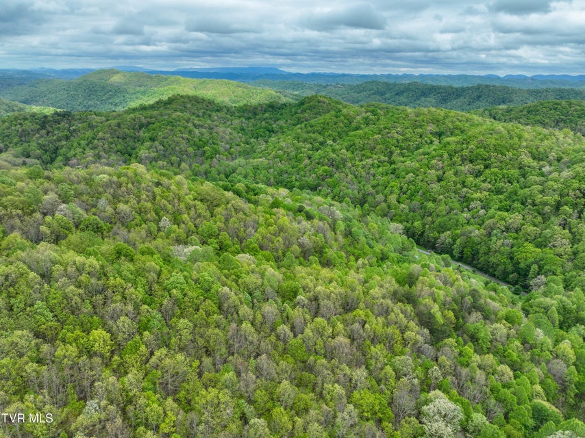 Photo #68: 903 Flatwoods Road