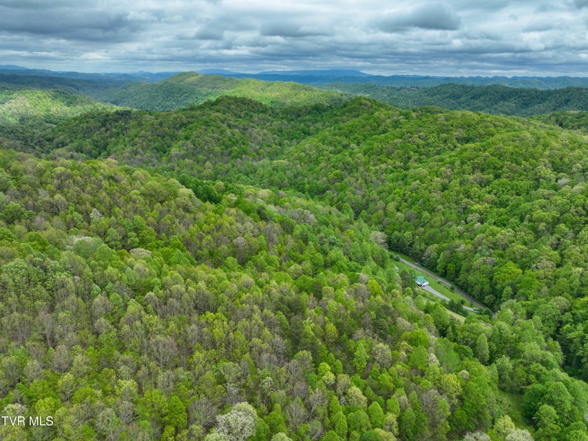 Photo #69: 903 Flatwoods Road