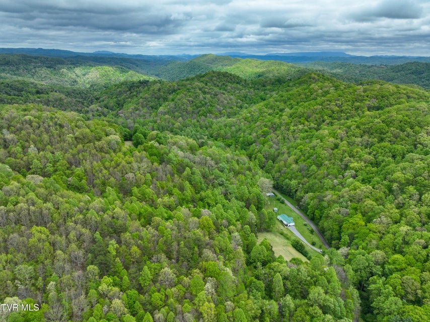 Photo #70: 903 Flatwoods Road