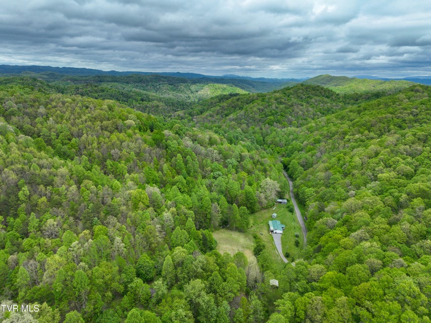 Photo #71: 903 Flatwoods Road