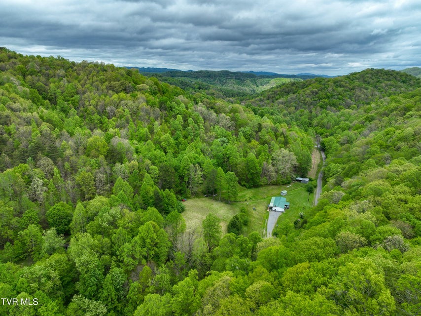 Photo #72: 903 Flatwoods Road