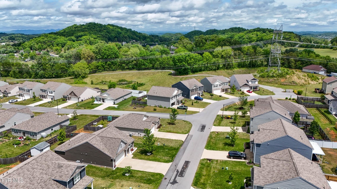 Photo #46: 3132 Phillips Way