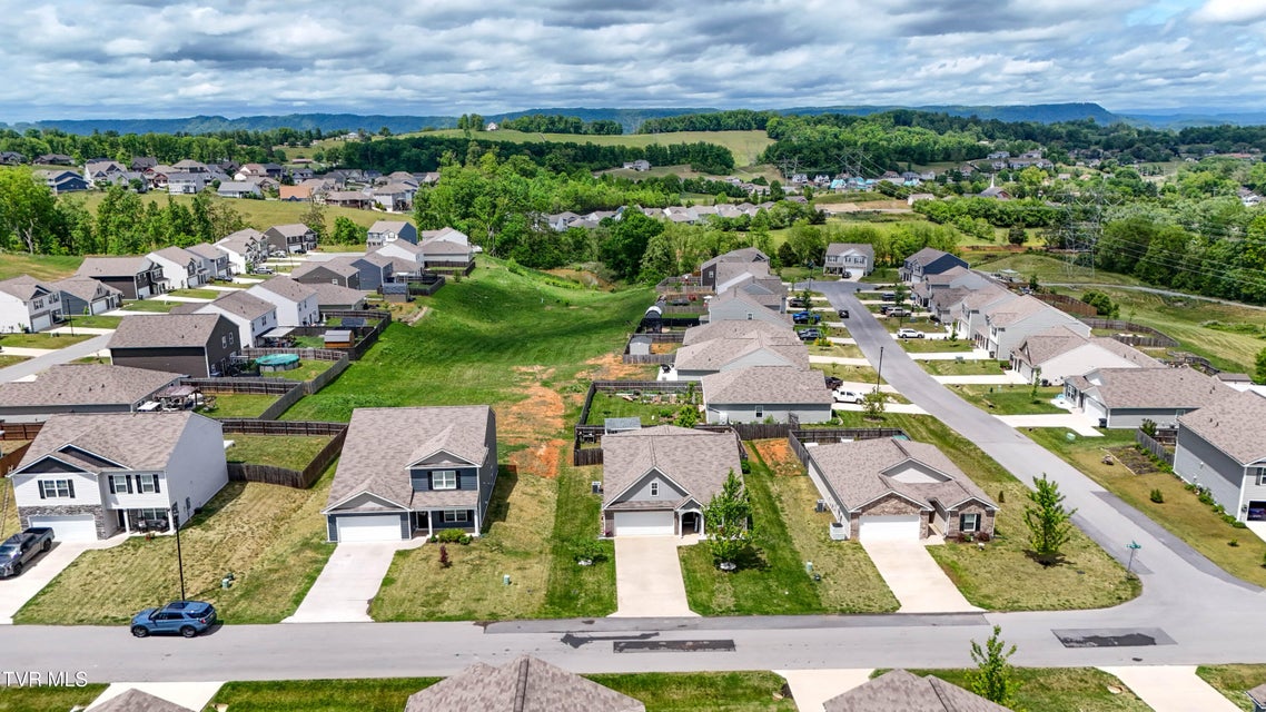 Photo #48: 3132 Phillips Way