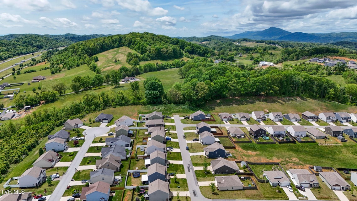 Photo #49: 3132 Phillips Way