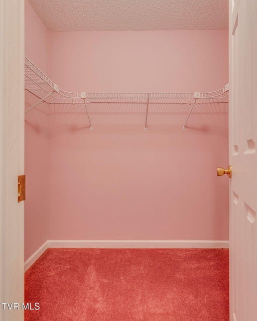 Photo #17: 617 Race Street