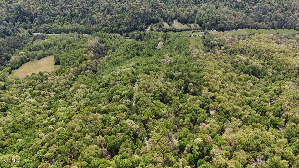 Photo #3: Tbd Swinging Bridge Road