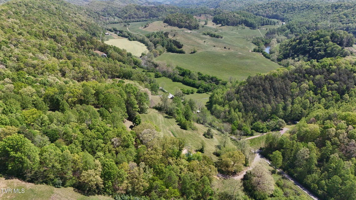 Photo #7: Tbd Swinging Bridge Road