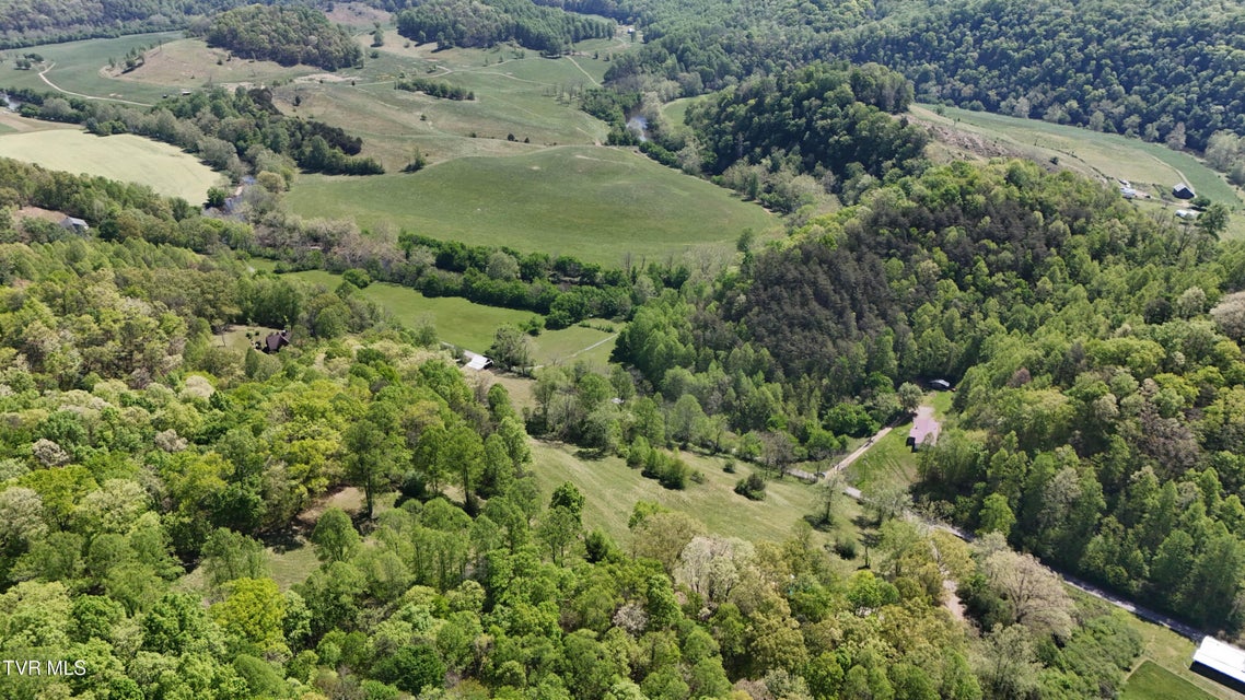 Photo #8: Tbd Swinging Bridge Road
