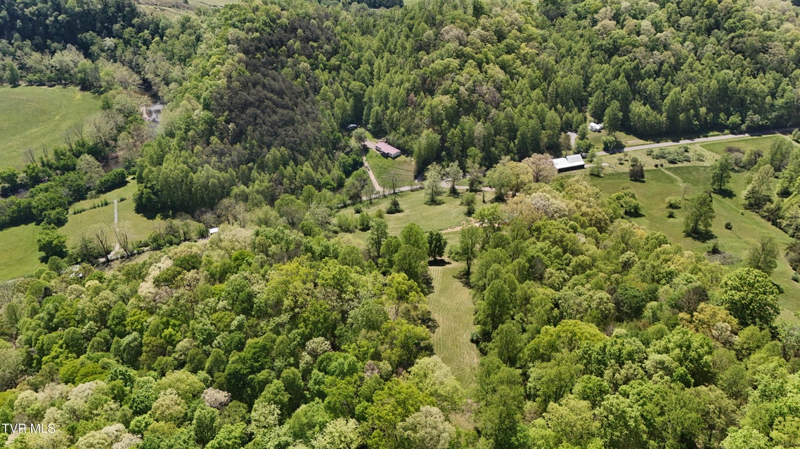 Photo #9: Tbd Swinging Bridge Road