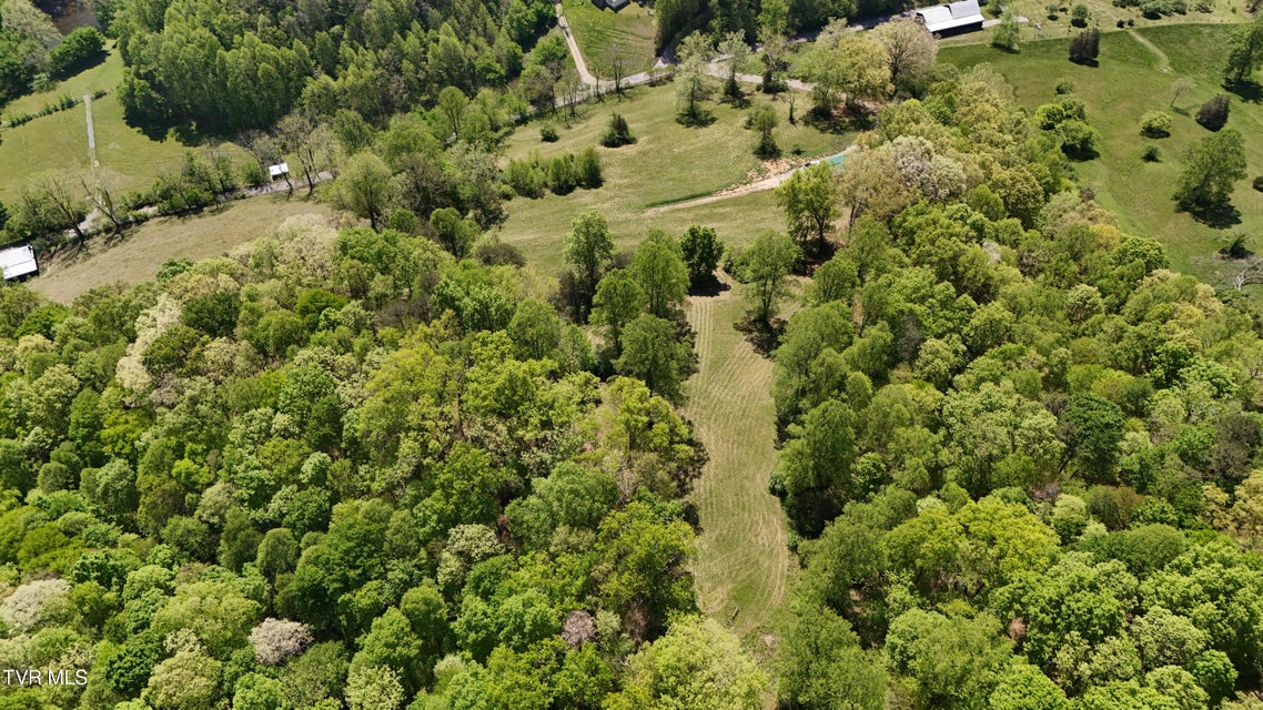 Photo #10: Tbd Swinging Bridge Road