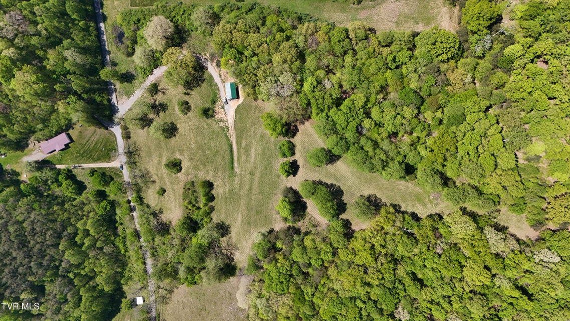 Photo #11: Tbd Swinging Bridge Road