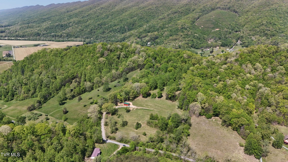Photo #14: Tbd Swinging Bridge Road