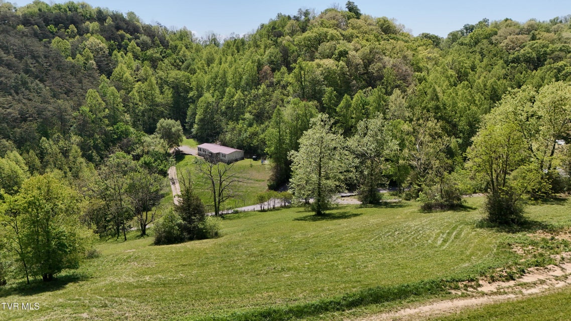 Photo #19: Tbd Swinging Bridge Road