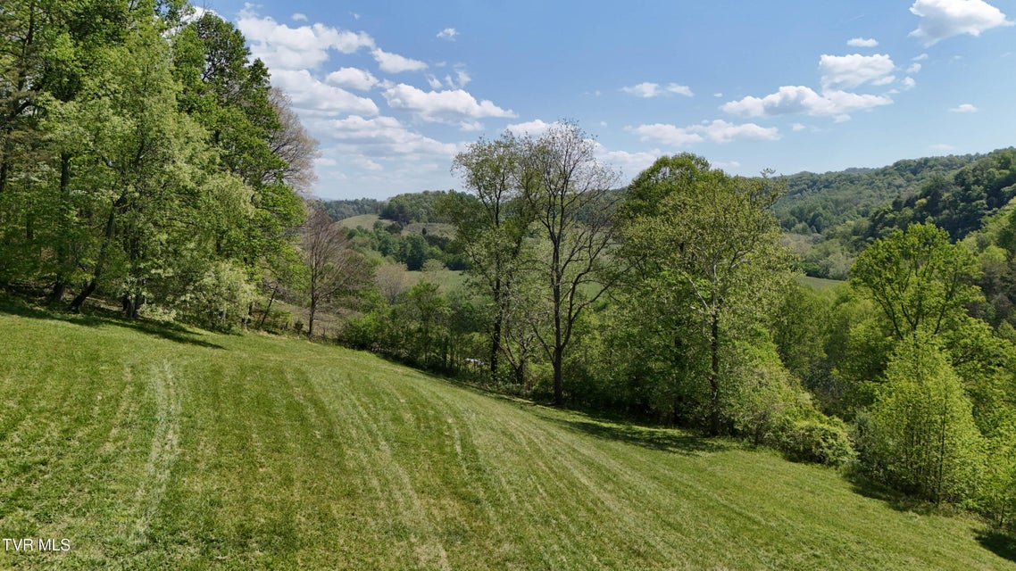 Photo #21: Tbd Swinging Bridge Road