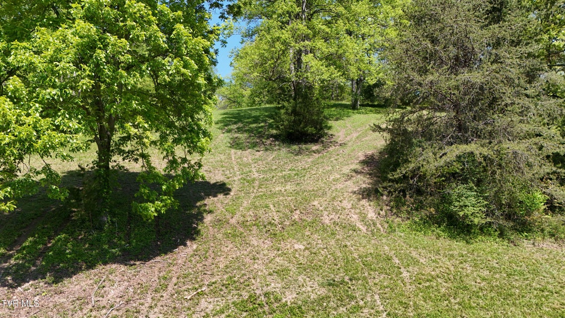 Photo #22: Tbd Swinging Bridge Road