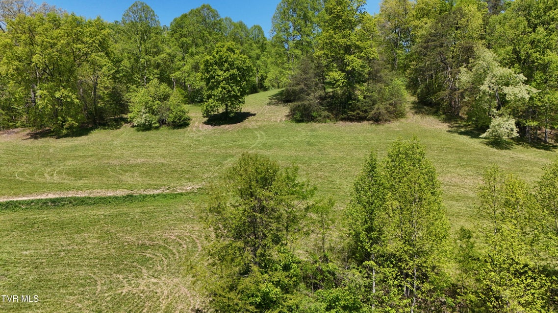 Photo #27: Tbd Swinging Bridge Road
